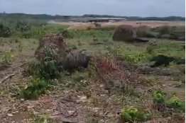 À vendre : Terrain de 500 m² à N’douci – Lotissement Batera